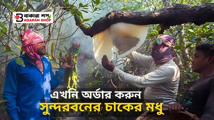 “সুন্দরবনের মধু: উপকারিতা, আসল চেনার উপায় ও খাওয়ার নিয়ম